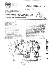 Автоматическое устройство для натяжения ремня (патент 1537919)
