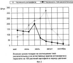 Способ размножения семенного картофеля (патент 2317702)