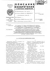 Состав для жирования кожи (патент 670614)