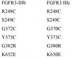 Антитела против fgfr3 и способы их применения (патент 2568066)