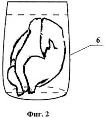 Способ приготовления мясных консервов из целых тушек птицы или домашних животных и мясные консервы, полученные по этому способу (патент 2354148)
