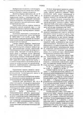 Газовая горелка (патент 1763803)