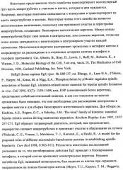 Энантиомеры выбранных конденсированных пиримидинов и их применение для лечения и предотвращения злокачественного новообразования (патент 2447077)
