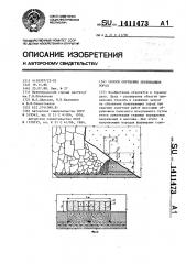 Способ обрушения покрывающих пород (патент 1411473)