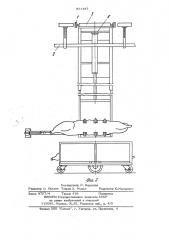 Устройство для снятия туш с троллеями с подвесного пути (патент 971197)
