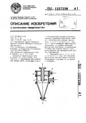 Гидроциклон для разделения иловой смеси (патент 1237256)