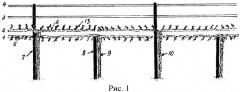 Способ формирования виноградных кустов (патент 2478279)
