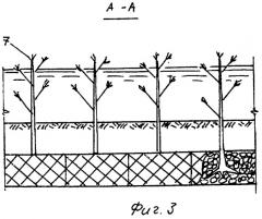 Поперечное сквозное берегозащитное сооружение (патент 2270292)