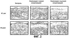 Композиции, пригодные для лечения кожных признаков старения (патент 2409290)