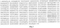 Противовирусный пептид, подавляющий репликацию вируса гриппа (патент 2492178)