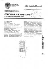 Устройство для очистки плодов сельскохозяйственных культур, преимущественно чеснока (патент 1123620)