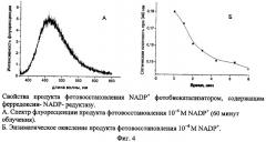 Фотобиокатализатор для получения восстановленных форм никотинамидных коферментов nadh или nadph и фотокаталитический способ получения nadh или nadph (патент 2416644)