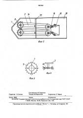Машина для уборки овощей (патент 1687081)