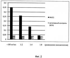 Наноантитело, специфически связывающее белок muc1, способ детекции белка muc1 с помощью наноантител (патент 2493165)