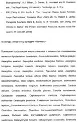 Ферментативное получение органических соединений с использованием декстринсодержащих сред (патент 2429296)