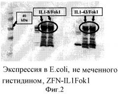 Опосредованная наночастицами доставка сиквенс-специфичных нуклеаз (патент 2556376)