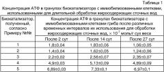 Иммобилизованный биокатализатор для биологической очистки жиросодержащих сточных вод и способ его получения (патент 2315102)