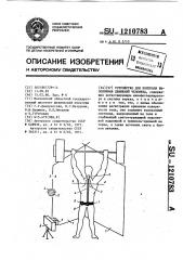 Устройство для контроля выполнения движений человека (патент 1210783)