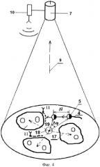 Электронно-оптический способ регулирования технологии производства агропродукции (патент 2423042)