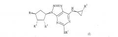 Новые промежуточные соединения для получения триазоло(4,5-d)пиримидина (патент 2593201)