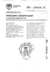 Имплантат для формирования опорной культи после эвисцерации (патент 1316114)