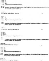 Новые праймеры для скринирования шизофрении и способ ее скринирования (патент 2338788)