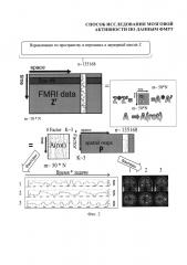 Способ исследования мозговой активности по данным фмрт (патент 2652898)