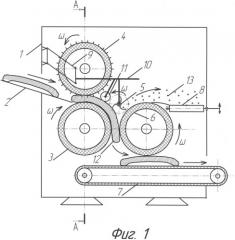 Машина для удаления коры с плодов бахчевых культур (патент 2389417)