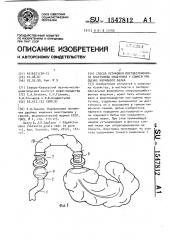 Способ установки постзаслоночного анастомоза кишечника у свиней при оценке кормового белка (патент 1547812)