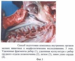 Способ подготовки комплекса внутренних органов мелких животных к морфологическим исследованиям (патент 2425643)