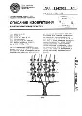 Шпалерная проволока (патент 1242052)