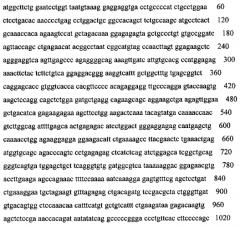 Способ определения уровня экспрессии химерного гена trim5a (патент 2592675)