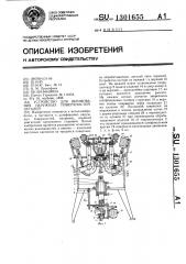 Устройство для шлифования наружных поверхностей деталей (патент 1301655)