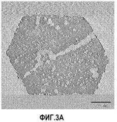 Модифицированные цеолиты y с тримодальной внутрикристаллической структурой, способ их получения и их применение (патент 2510293)