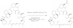 Региоспецифический синтез производных 42-эфира рапамицина (патент 2387657)