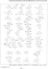 Тетрацианозамещенные 1,4,9b-триазафеналены и способ их получения (патент 2498986)