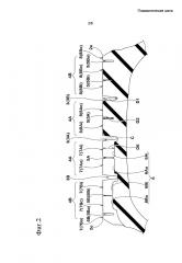 Пневматическая шина (патент 2596646)