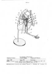 Модель плечевого сустава (патент 1651317)