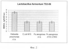 Штамм lactobacillus fermentum ts3-06, используемый для изготовления бактериальных препаратов и производства жидкой молочнокислой закваски в качестве продукта питания лечебно-профилактического назначения (патент 2391395)