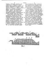 Способ обработки почвы (патент 1132814)