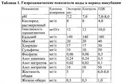 Способ получения личинок и мальков осетровых рыб (патент 2564840)