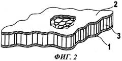 Вакуумная изоляционная панель для внутреннего пространства воздушного судна (патент 2448867)