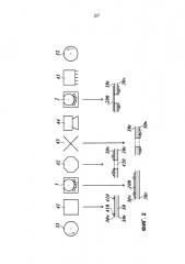 Способ и устройство для горячего тиснения (патент 2608913)
