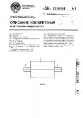 Магнитная система (патент 1319094)