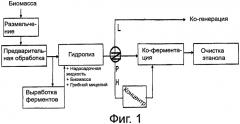 Эффективный гидролиз лигноцеллюлозы, совмещенный с выработкой ферментов (патент 2550265)