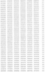 Рекомбинантный белок collbd-bmp-2, рекомбинантная плазмида pcollbd-bmp-2, штамм escherichia coli-продуцент рекомбинантного белка collbd-bmp-2, способ получения рекомбинантного белка collbd-bmp-2 (патент 2408727)