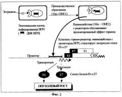 Суппозитории вагинальные на основе 3,3 -дииндолилметана (метиндола) (патент 2318510)