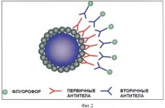 Иммуногенная композиция, содержащая чужеродные антигены на поверхности сферических носителей, полученных при термической денатурации спиральных вирусов (патент 2440140)