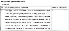 Способ производства препарата на основе нереплицирующегося вирусного вектора, экспрессирующего ген человеческого toll-подобного рецептора и ген модифицированного белка флагеллина (патент 2590588)