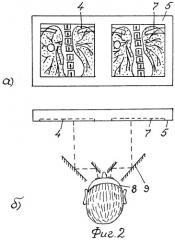 Способ рентгенодиагностики (патент 2290064)